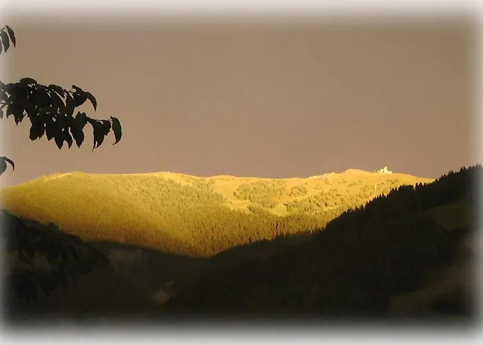 Panoramapension Lerchner Pensjonat 3*