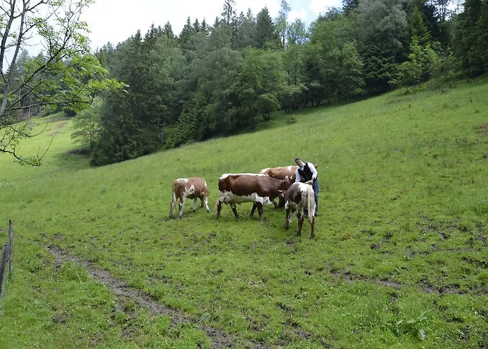 Panoramapension Lerchner Bad Kleinkirchheim