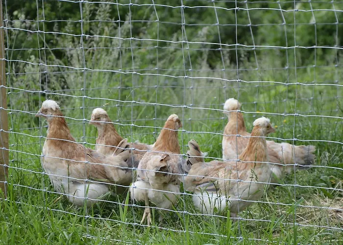 Pensjonat Panoramapension Lerchner 3*