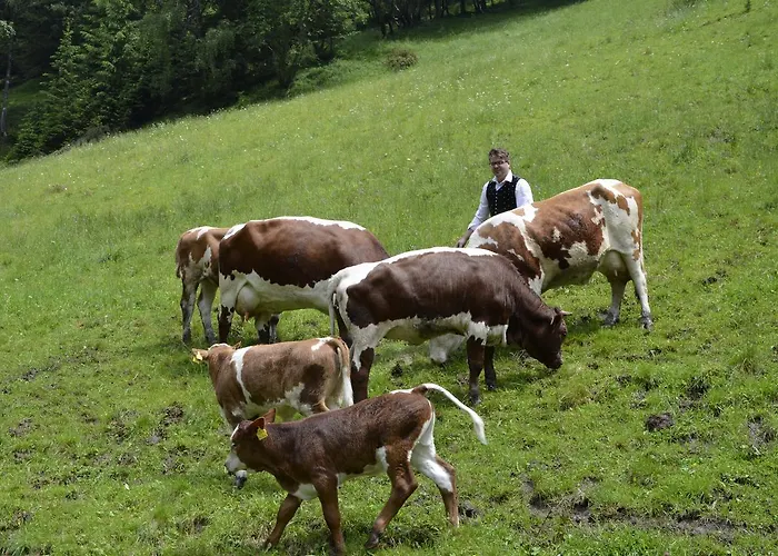 Panoramapension Lerchner 3* Bad Kleinkirchheim
